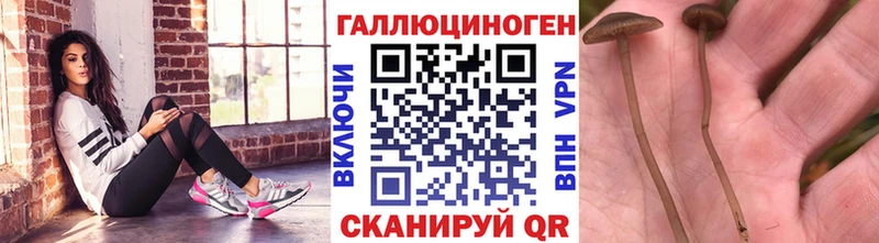 что такое   Моздок  Галлюциногенные грибы ЛСД 