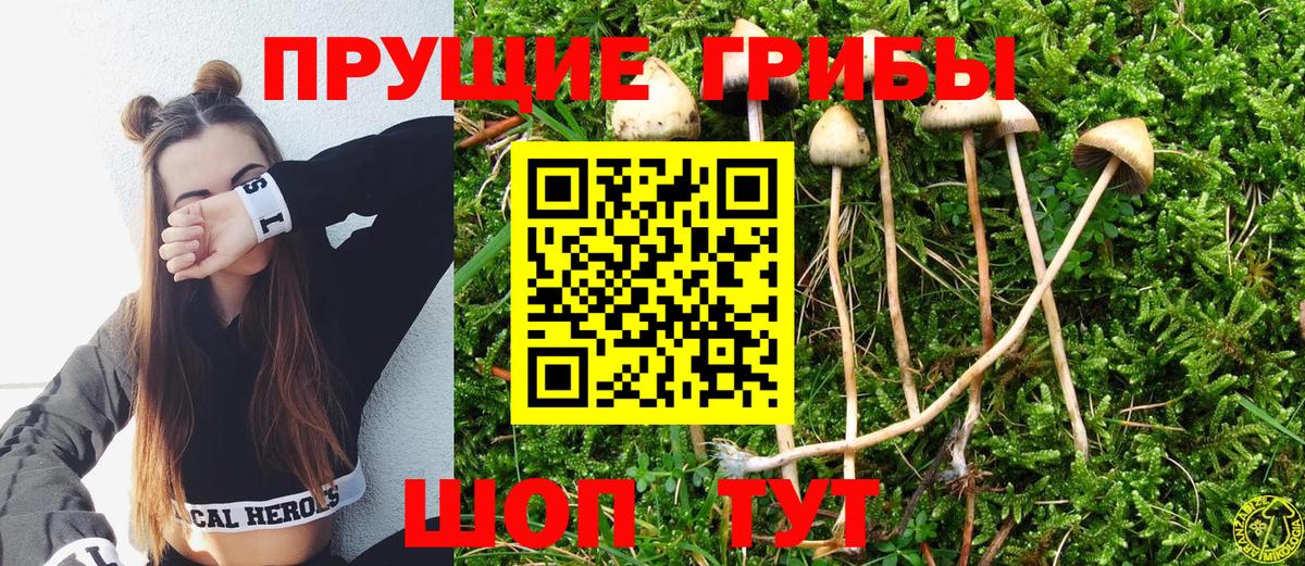 Псилоцибиновые грибы Psilocybine cubensis  Вход с VPN  Галлюциногенные грибы ЛСД  Моздок 